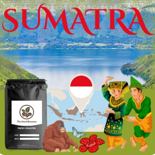 Coffee of the Month is Featuring Sumatra!